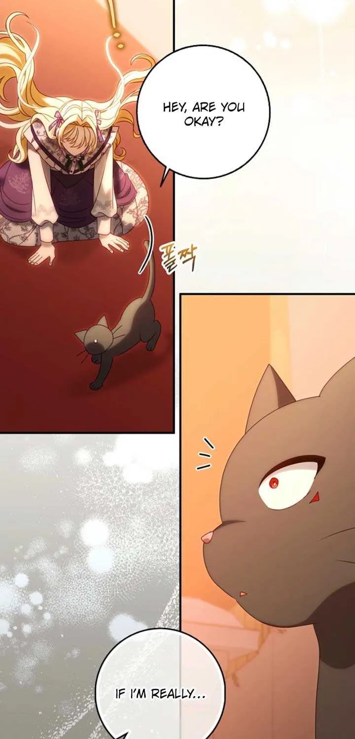 The secrets of the lovely duchess Chapter 43 page 5 - 