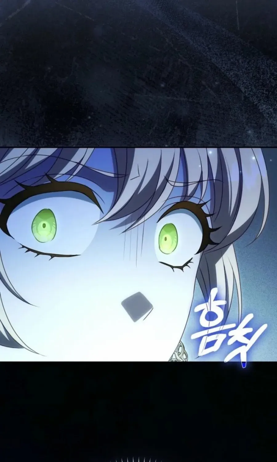 The secrets of the lovely duchess Chapter 52 page 29 - 