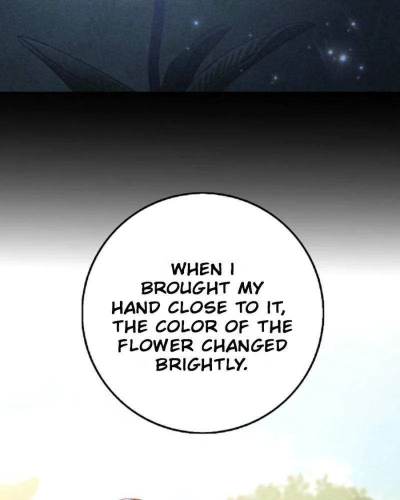 The secrets of the lovely duchess Chapter 53 page 75 - 