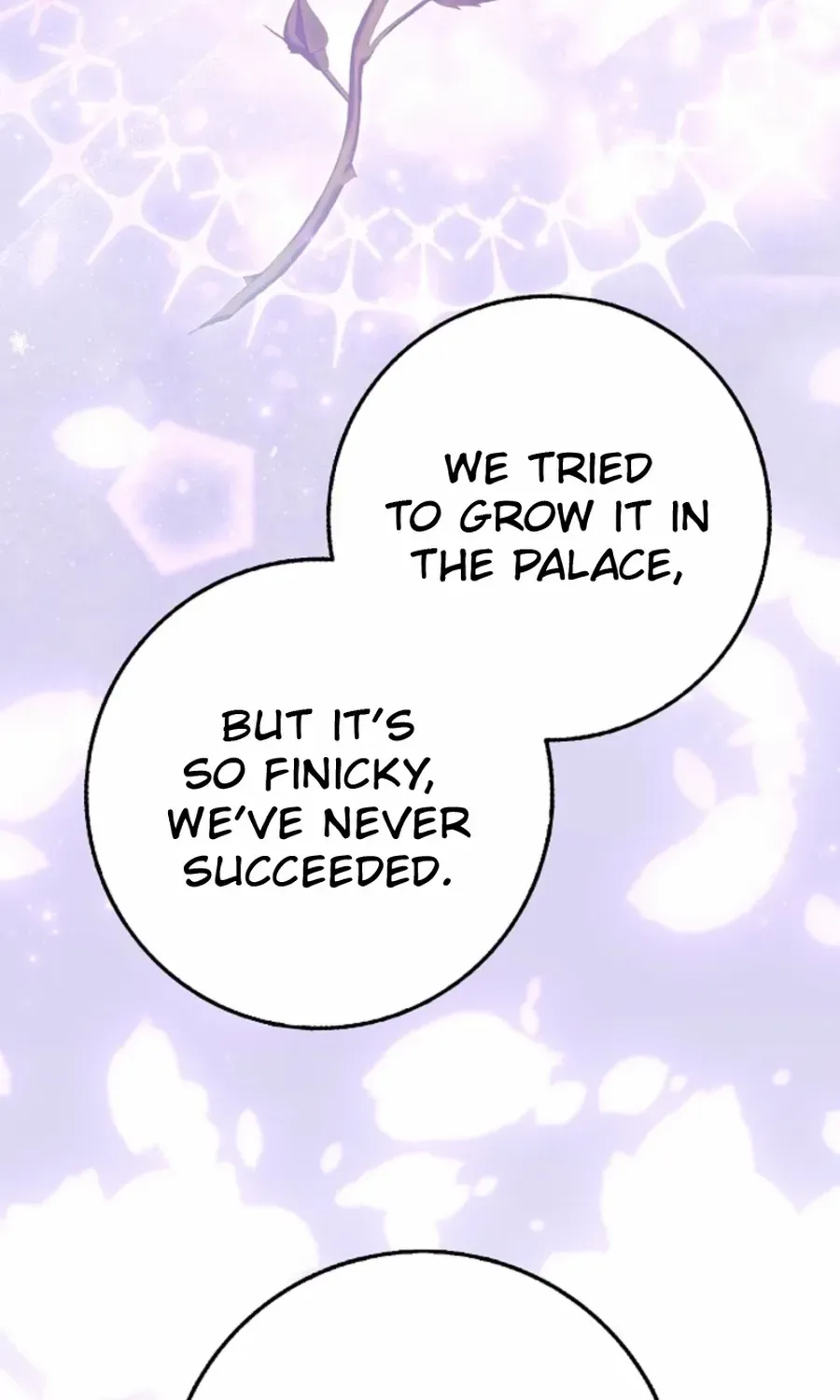 The secrets of the lovely duchess Chapter 61 page 52 - 