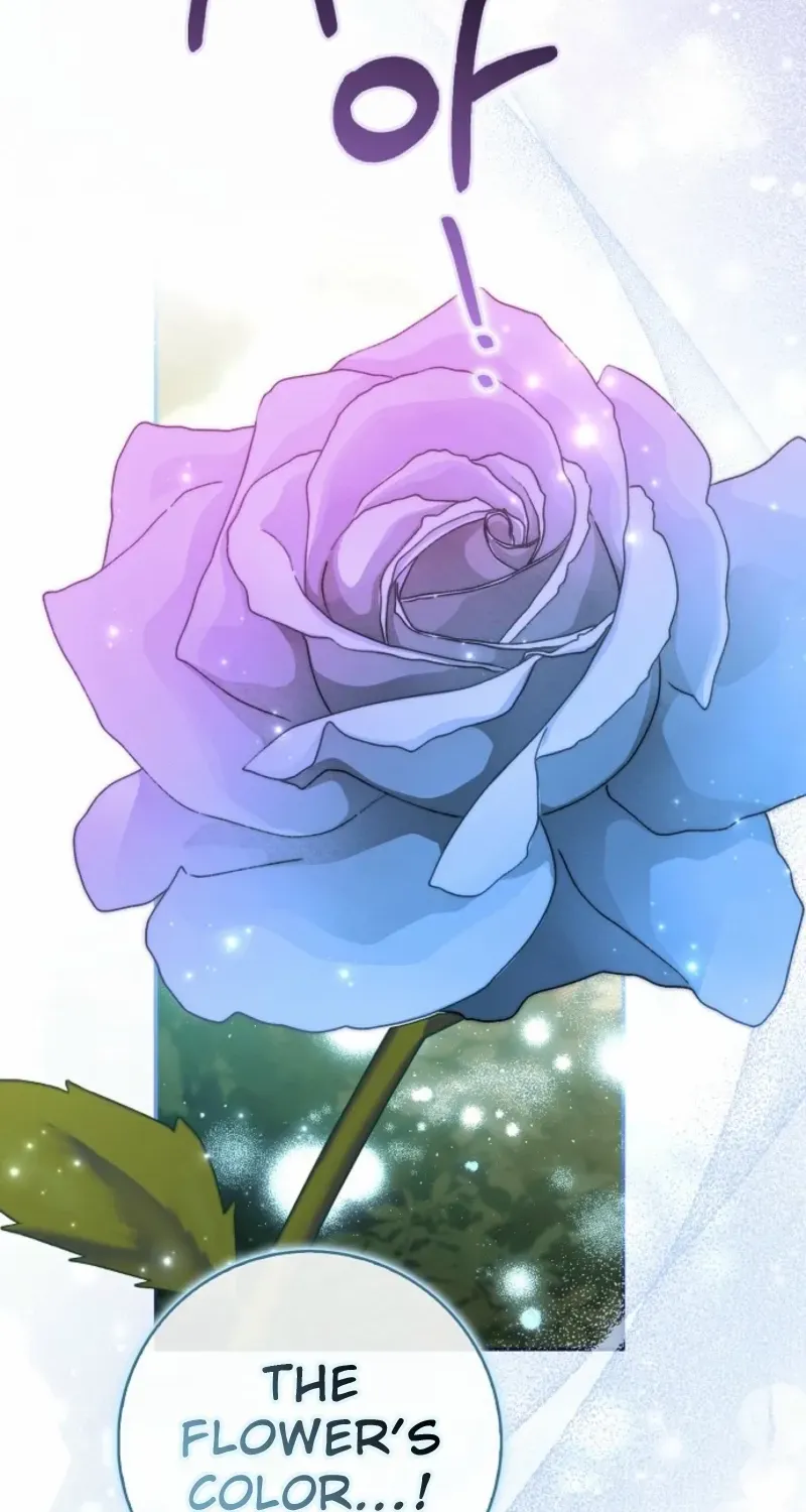 The secrets of the lovely duchess Chapter 63 page 19 - 