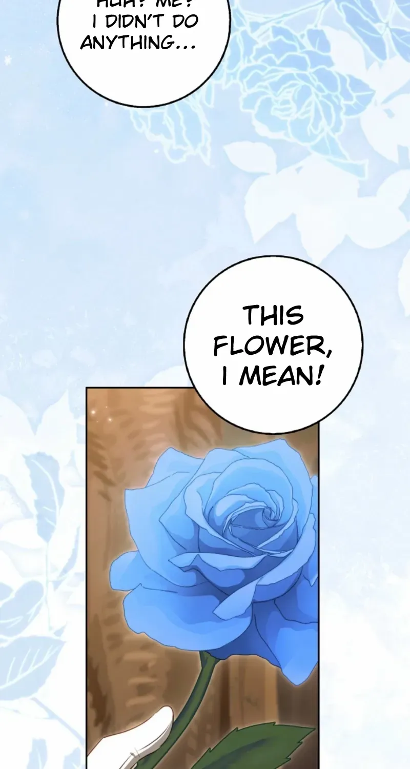 The secrets of the lovely duchess Chapter 63 page 22 - 