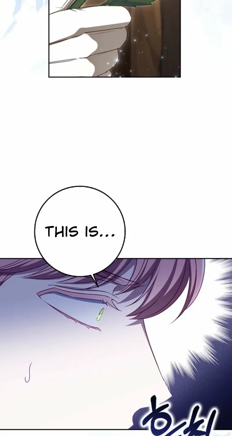 The secrets of the lovely duchess Chapter 63 page 23 - 