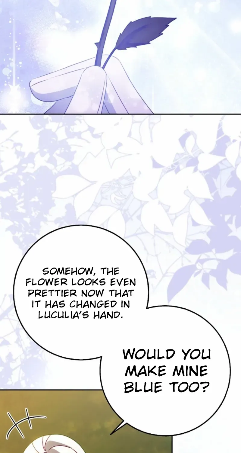The secrets of the lovely duchess Chapter 63 page 34 - 