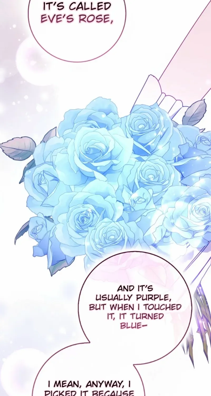 The secrets of the lovely duchess Chapter 63 page 74 - 