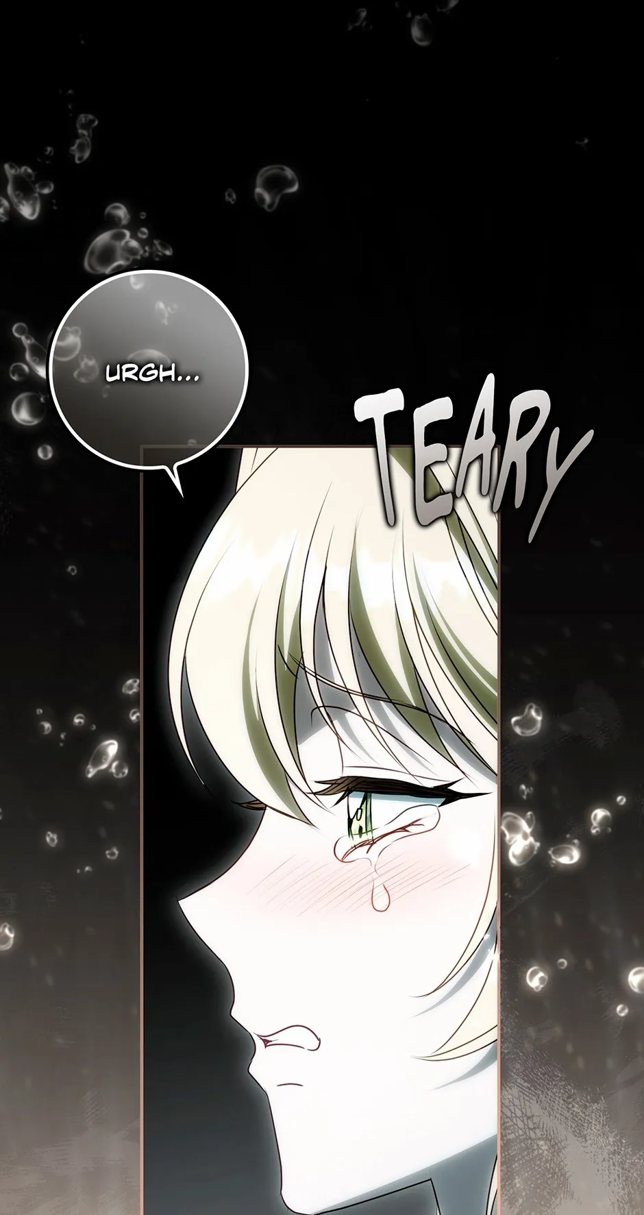The secrets of the lovely duchess Chapter 78 page 30 - 