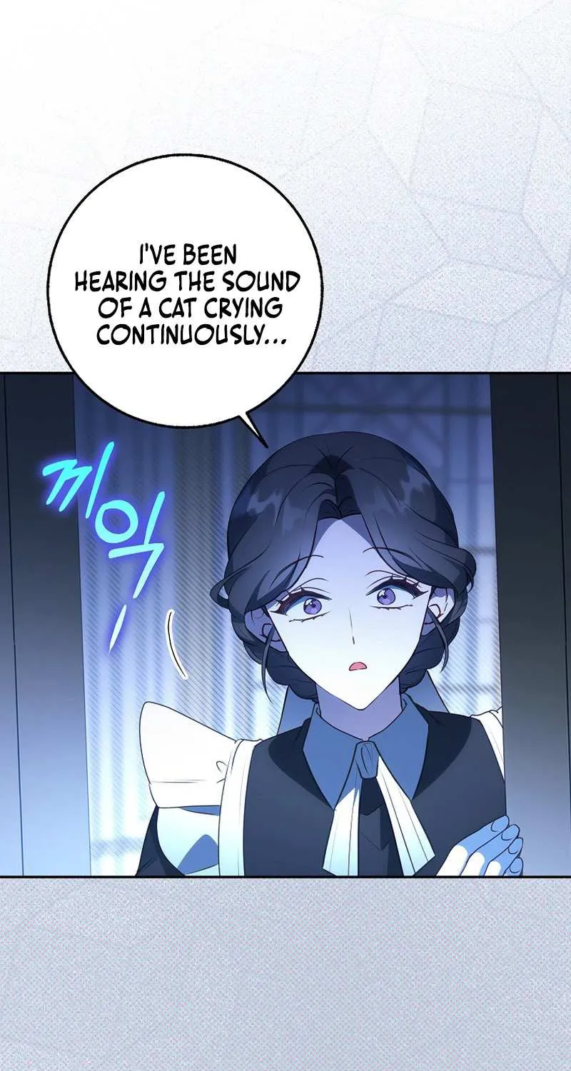 The secrets of the lovely duchess Chapter 8 page 17 - 