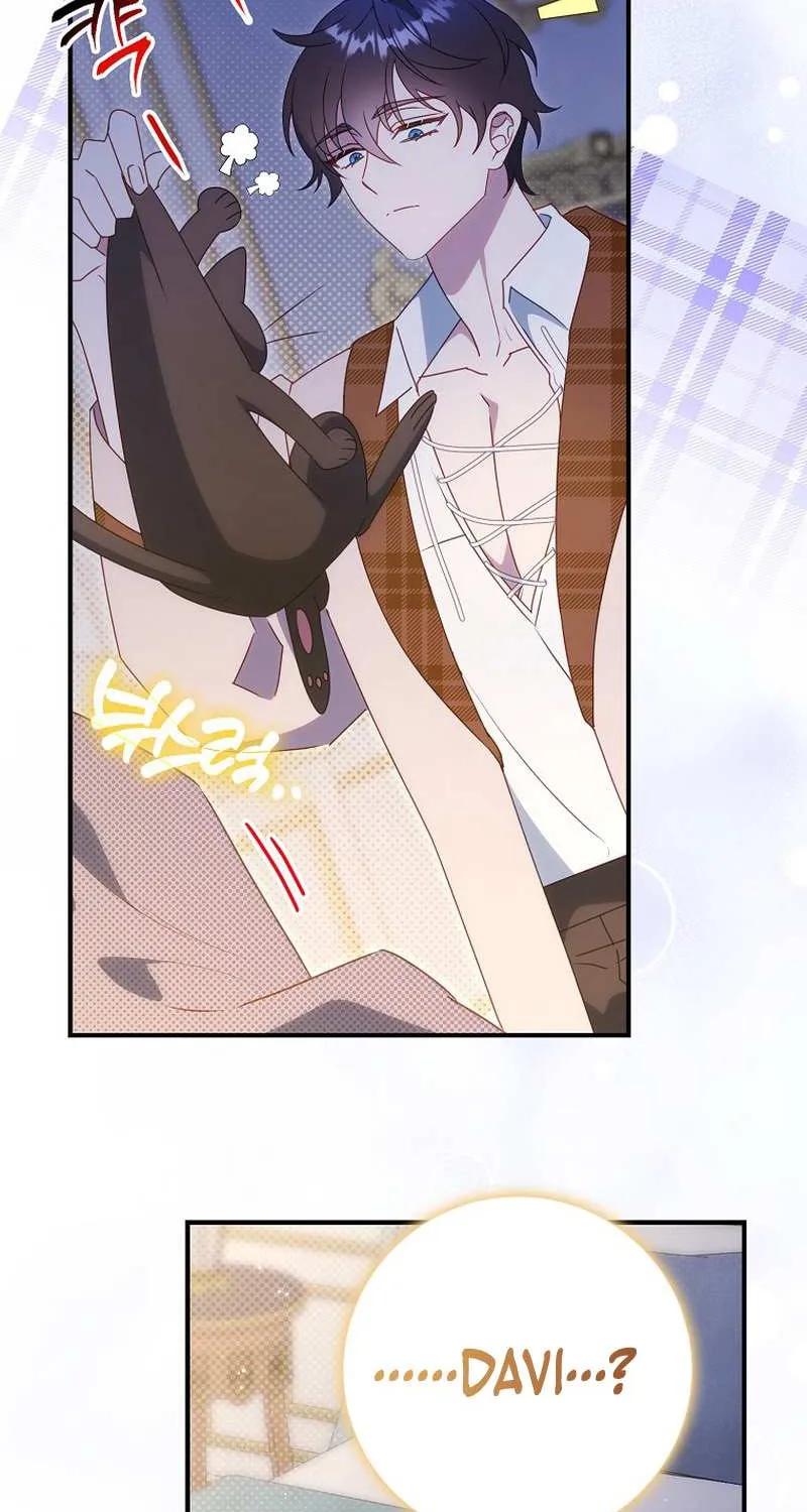 The secrets of the lovely duchess Chapter 8 page 27 - 