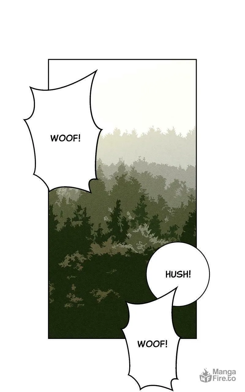The Secrets of the Willson Family Chapter 34 page 78 - 