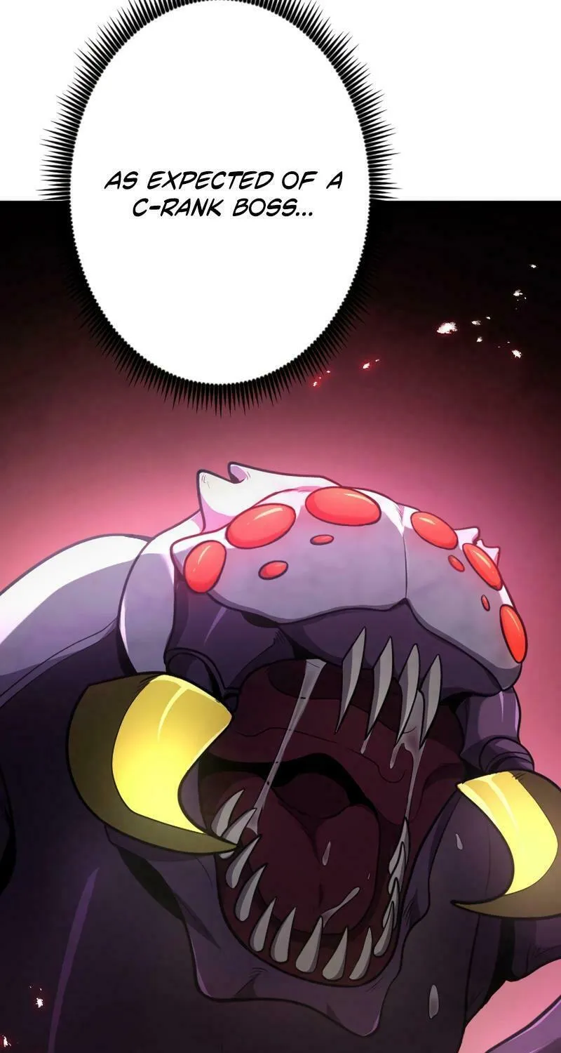 The Shadow Hunter Makes a Deal With an SSS Class Demon Chapter 13 page 29 - 