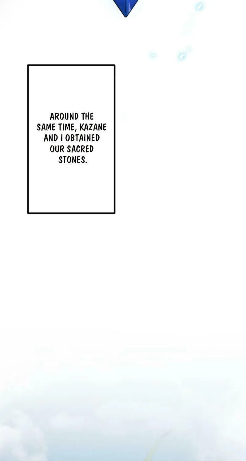 The Shadow Hunter Makes a Deal With an SSS Class Demon Chapter 7 page 17 - 