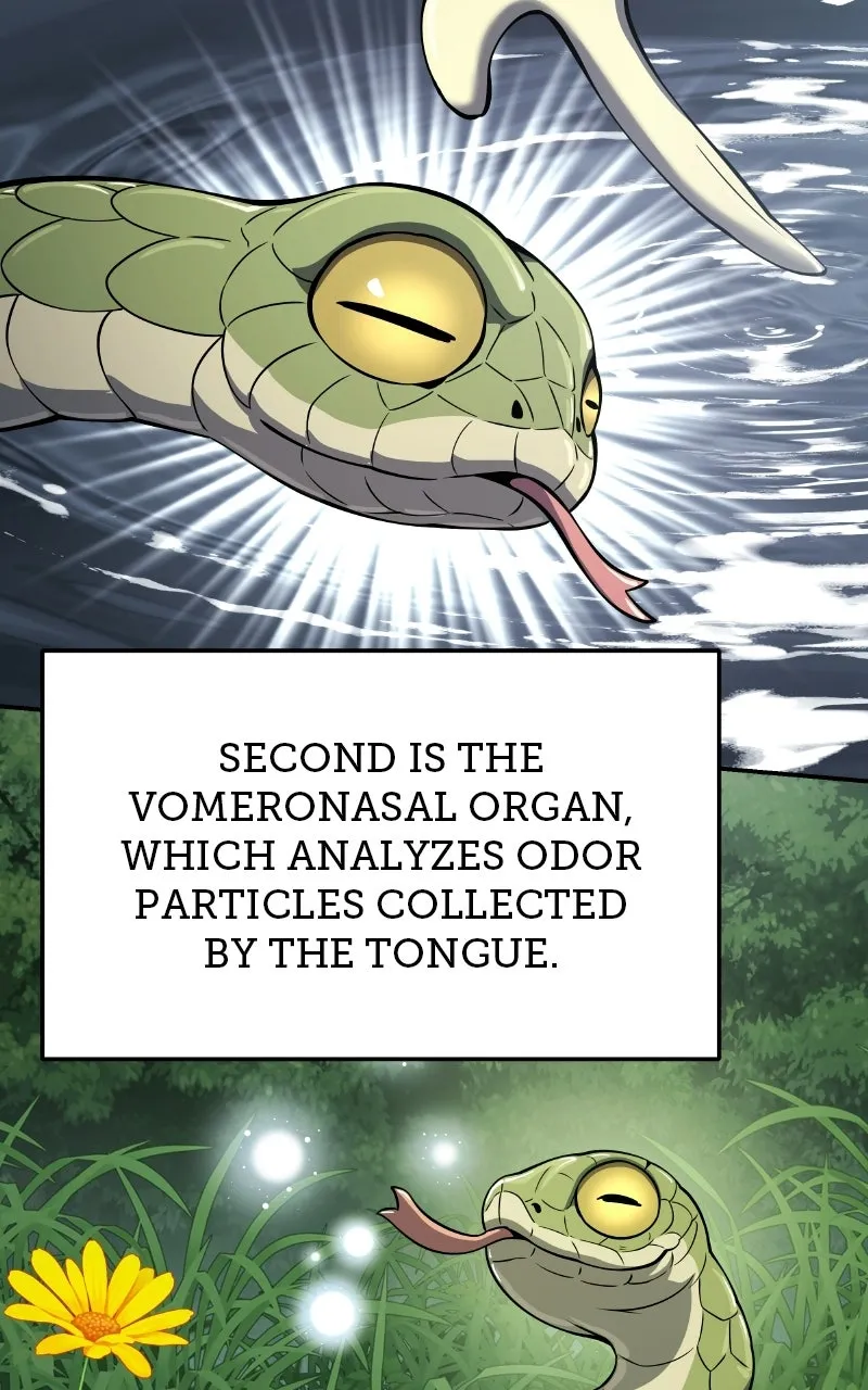 The Sichuan Tang Clan’s Entomologist Chapter 59 page 10 - 