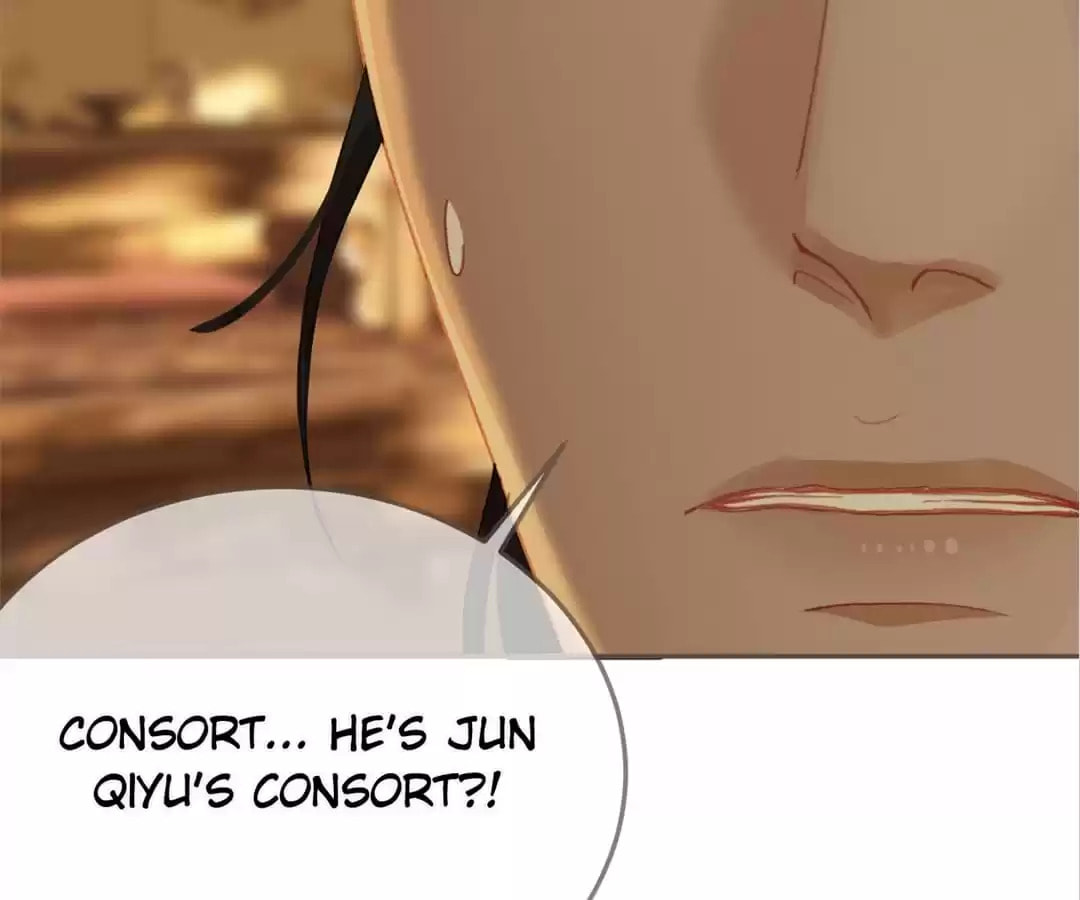 The Silent Concubine Chapter 23 page 25 - 