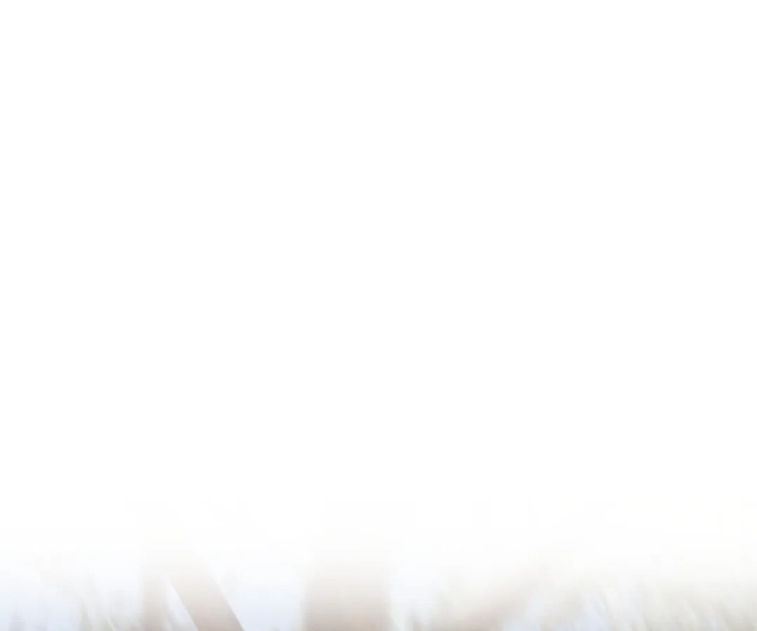 The Silent Concubine Chapter 82 page 69 - 