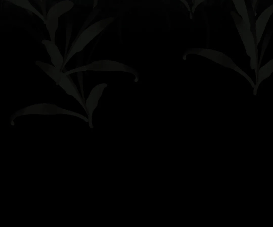 The Silent Concubine Chapter 84 page 36 - 
