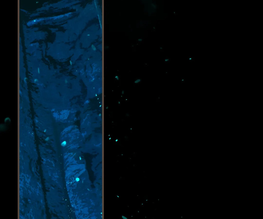 The Silent Concubine Chapter 87 page 112 - 