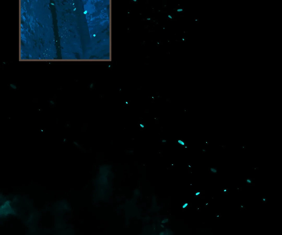 The Silent Concubine Chapter 87 page 113 - 