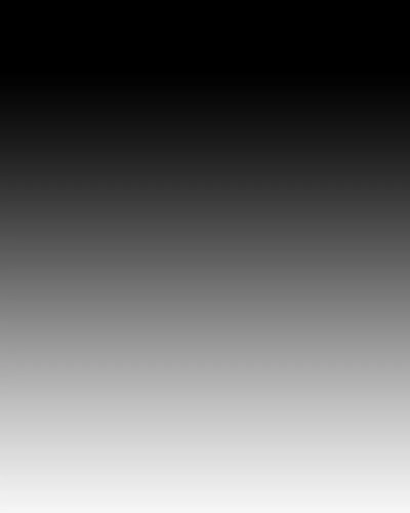 The Silent Warrior Chapter 49 page 11 - 