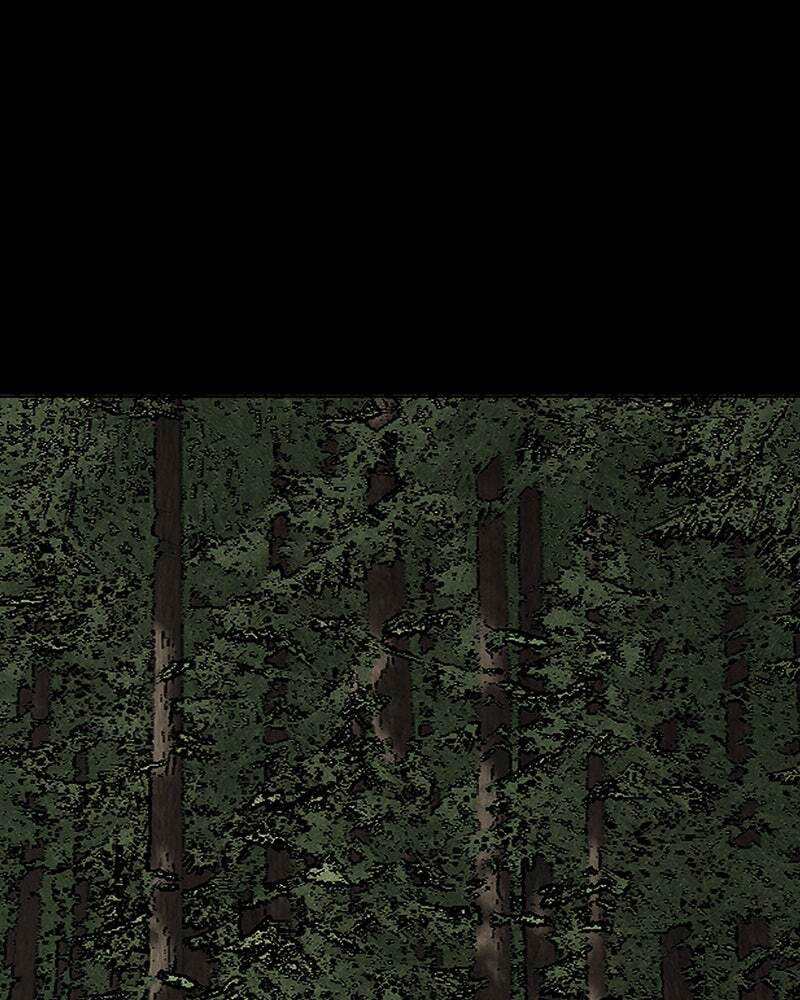 The Silent Warrior Chapter 5 page 1 - 