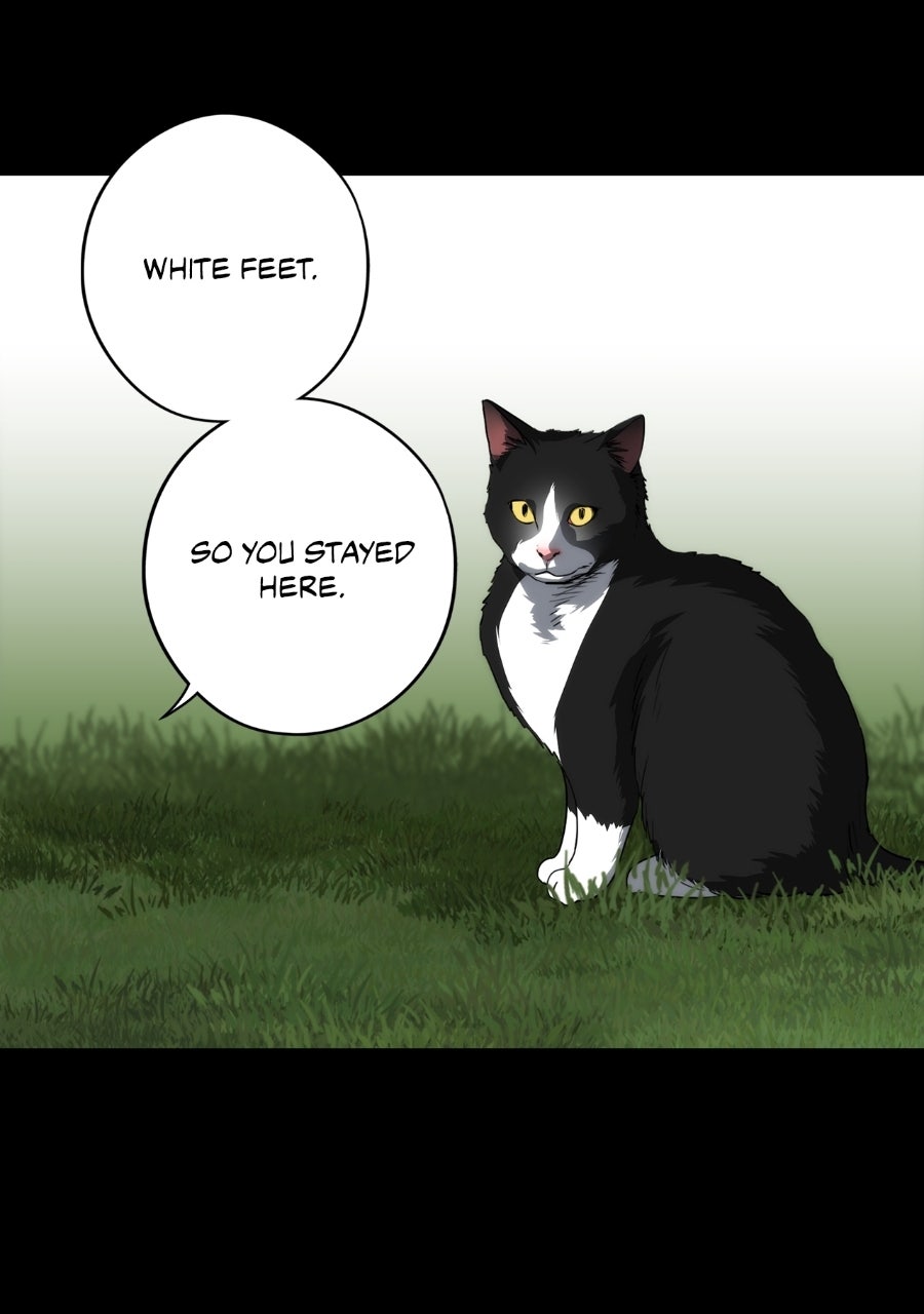 The Spark in Your Eyes (S2) Episode 228 (Epilogue #17) page 42 - 