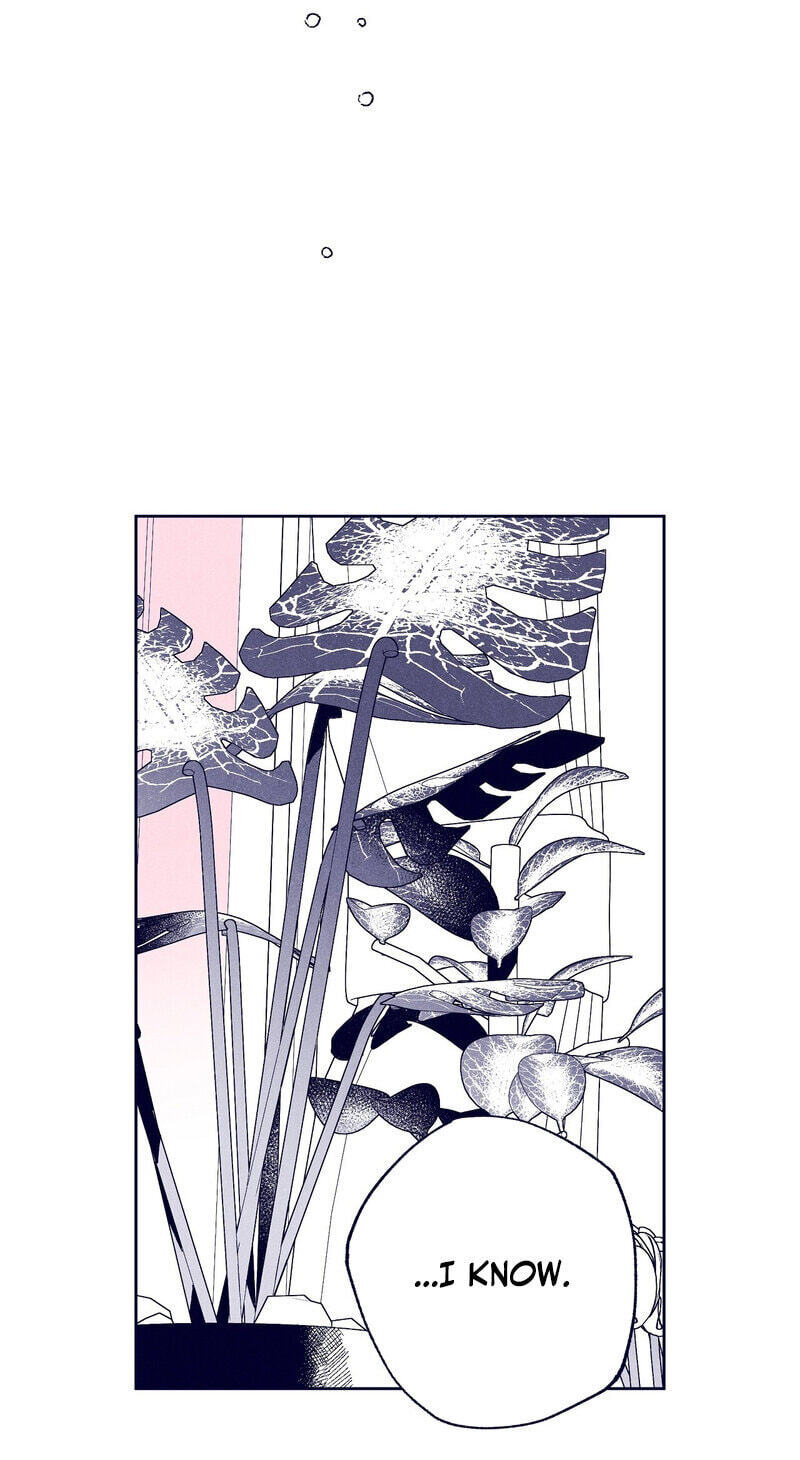The Star Next Door (Pre-Serialization) Chapter 31 page 49 - 