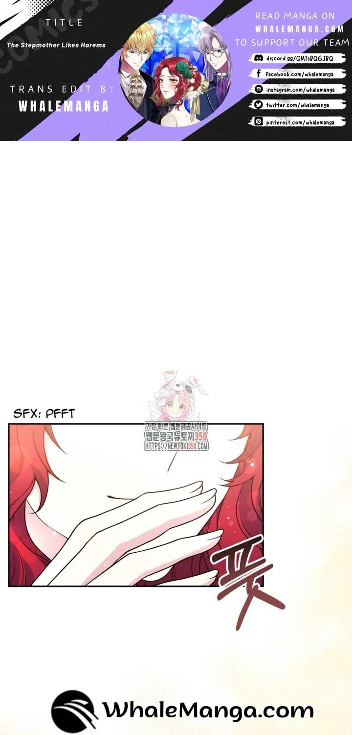 The Stepmother Likes Harems Chapter 18 page 2 - 