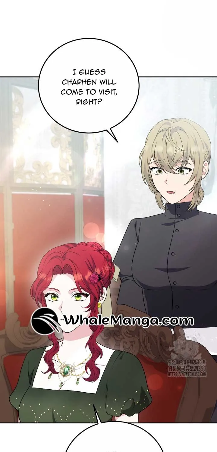 The Stepmother Likes Harems Chapter 19 page 65 - 