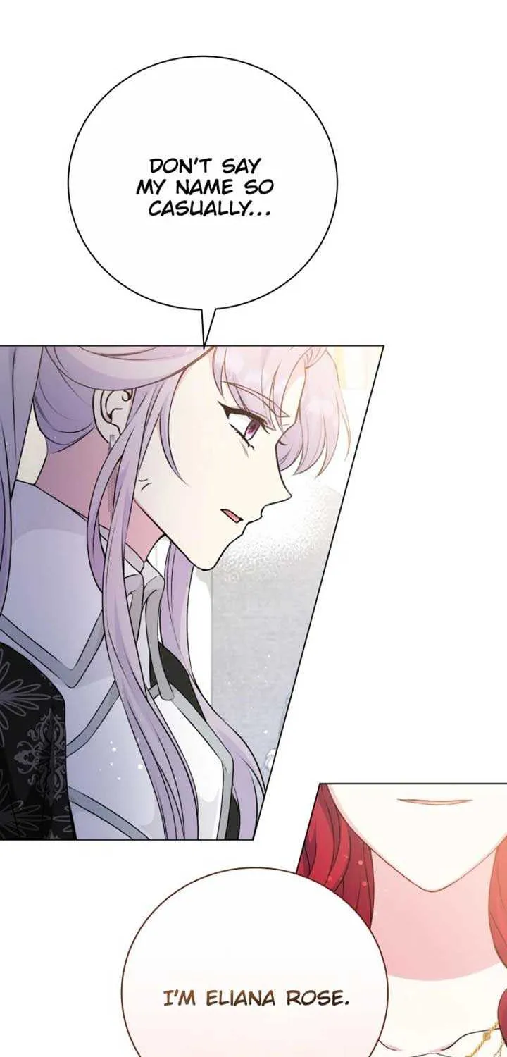 The Stepmother Likes Harems Chapter 26 page 71 - 