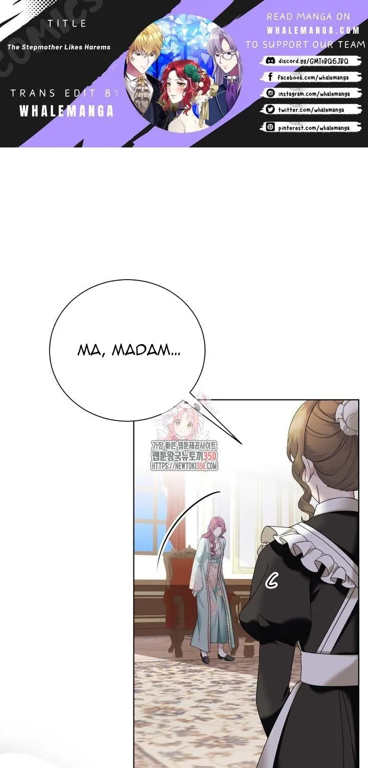 The Stepmother Likes Harems Chapter 9 page 2 - 