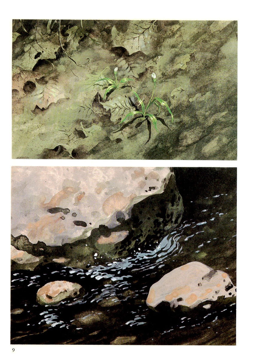 The Stone Flower Chapter 1 page 9 - 