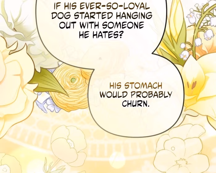 The Strongest Lady Hides Her Strength Chapter 20 page 47 - 