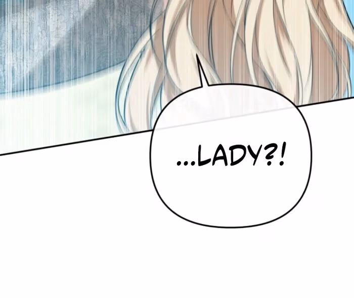 The Strongest Lady Hides Her Strength Chapter 20 page 67 - 