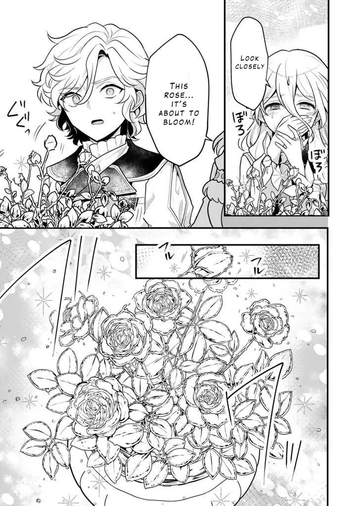 The Strongest Raised by Dragons Chapter 7 page 19 - 