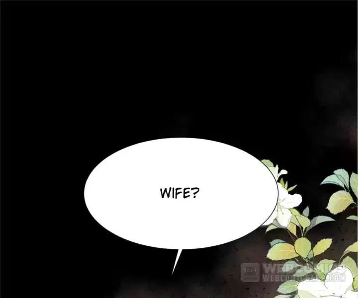 The Substitute Bride And The Overly affectionate Husband Chapter 33 page 51 - 