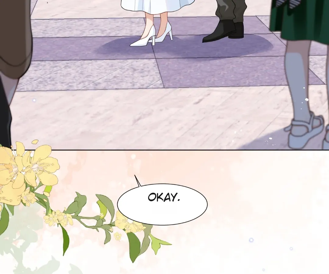 The Substitute Bride And The Overly affectionate Husband Chapter 38 page 109 - 