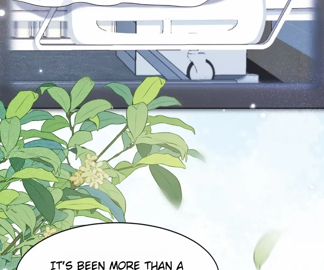The Substitute Bride And The Overly affectionate Husband Chapter 38 page 89 - 