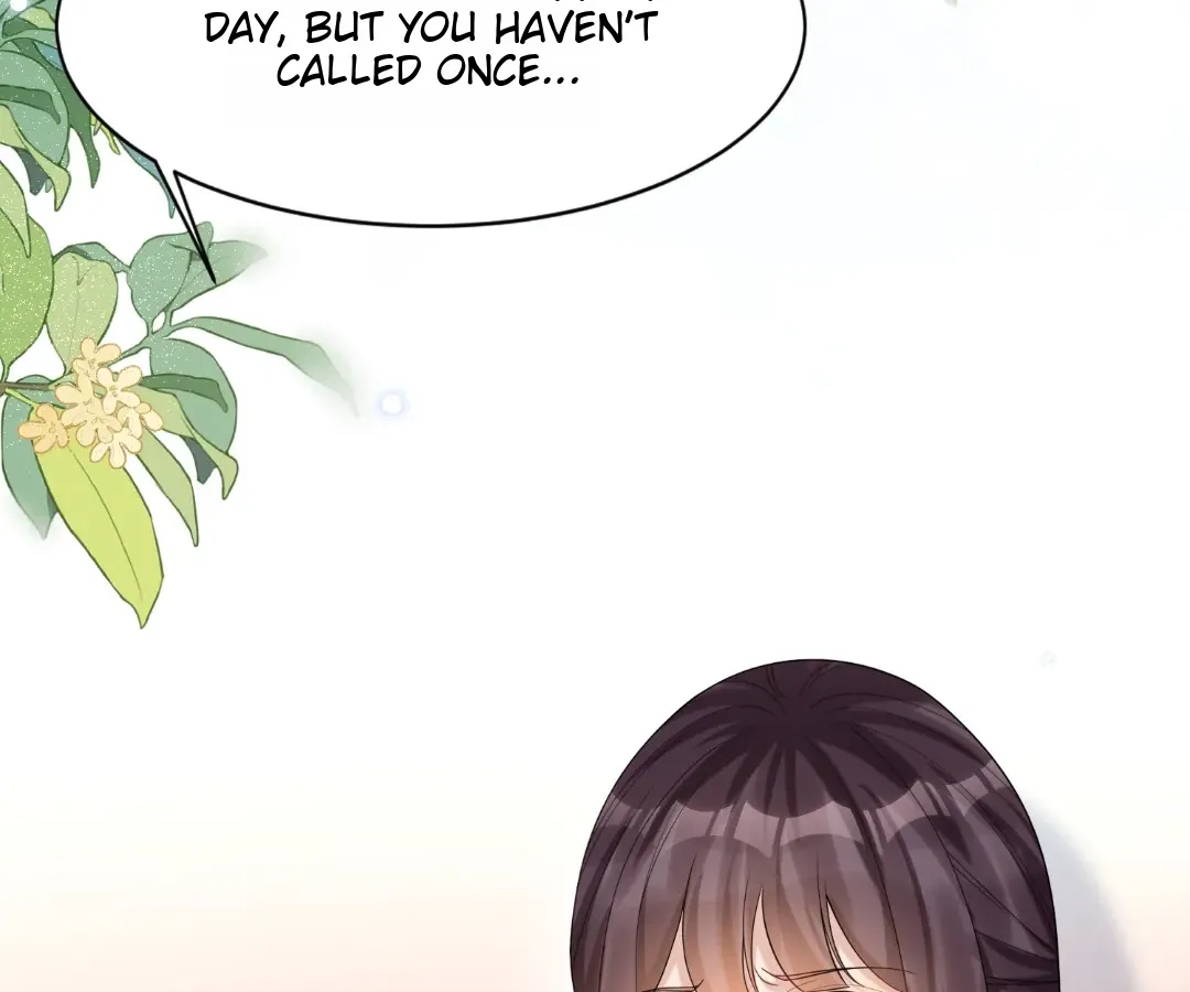The Substitute Bride And The Overly affectionate Husband Chapter 38 page 90 - 