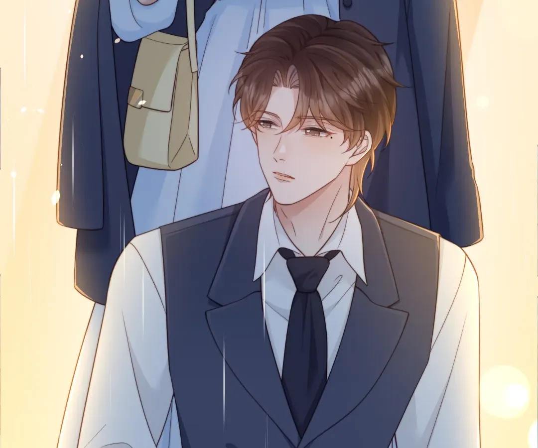 The Substitute Bride And The Overly affectionate Husband Chapter 39 page 160 - 