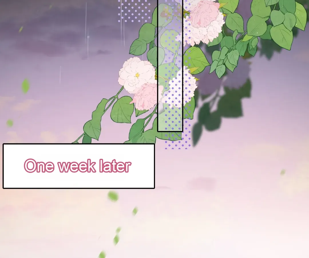 The Substitute Bride And The Overly affectionate Husband Chapter 40 page 29 - 