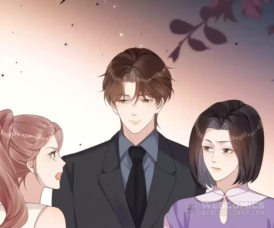 The Substitute Bride And The Overly affectionate Husband Chapter 44 page 155 - 