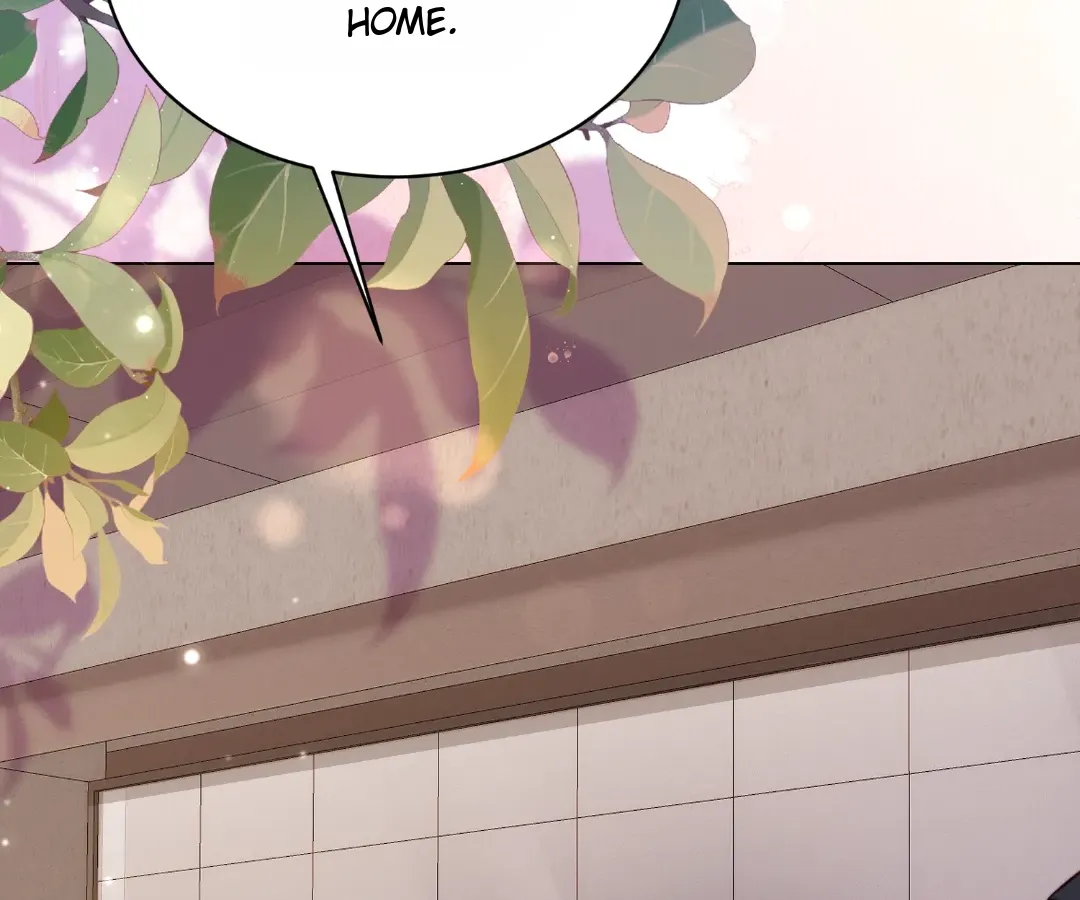 The Substitute Bride And The Overly affectionate Husband Chapter 45 page 121 - 