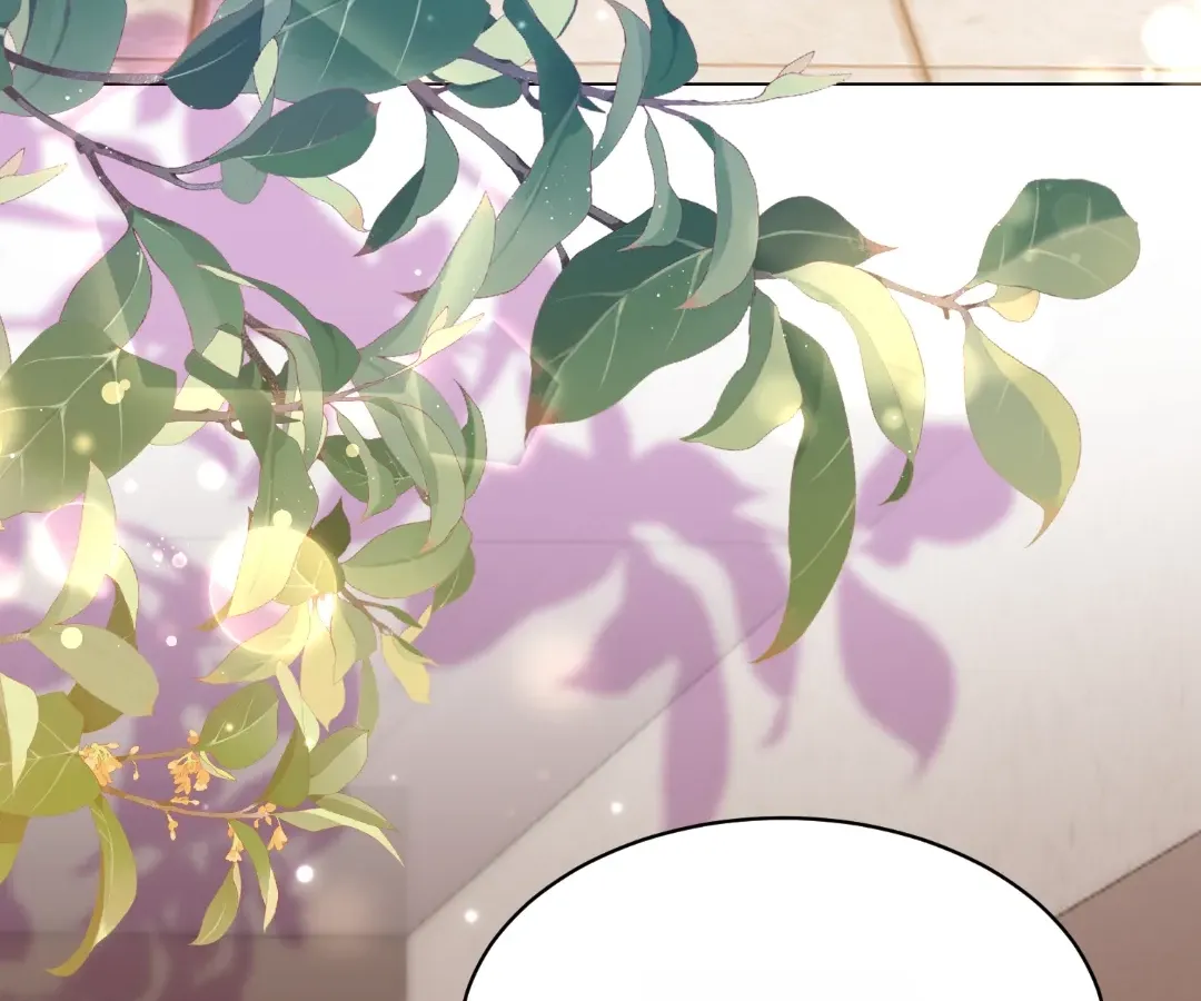 The Substitute Bride And The Overly affectionate Husband Chapter 45 page 137 - 