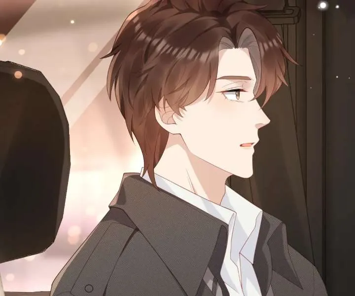 The Substitute Bride And The Overly affectionate Husband Chapter 46 page 28 - 