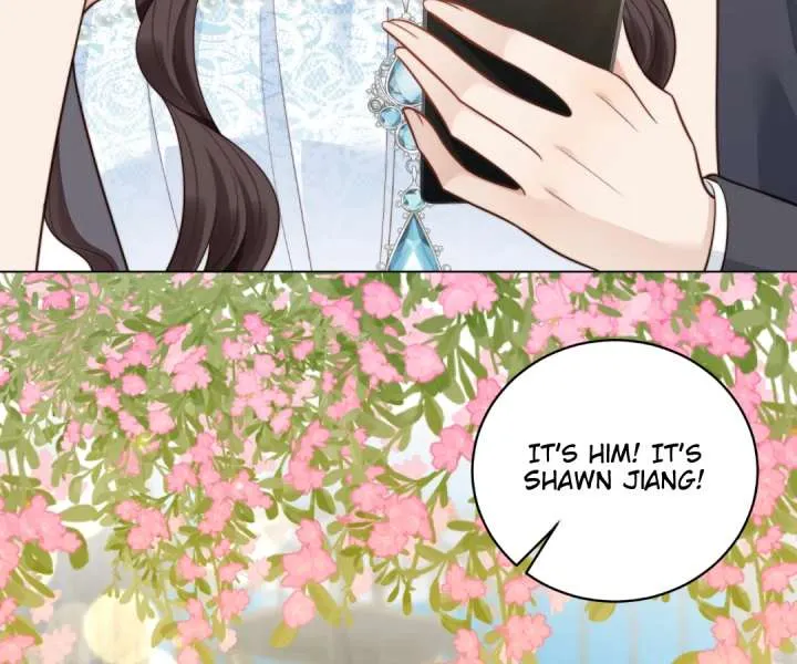 The Substitute Bride And The Overly affectionate Husband Chapter 47 page 73 - 