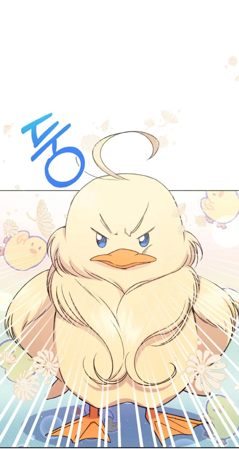 The Supporting Duck Waiting for the Breakup Chapter 2 page 38 - 