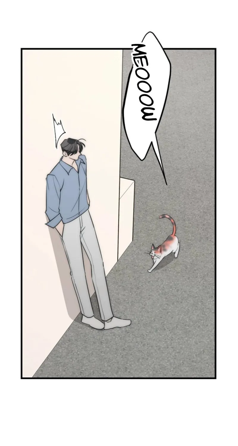 The Teacher in the Trap Chapter 12 page 6 - 