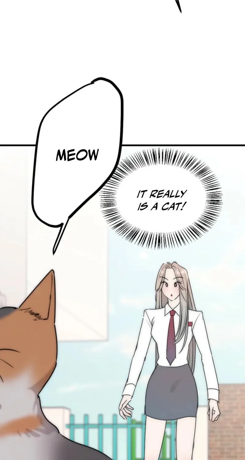 The Teacher in the Trap Chapter 4 page 71 - 