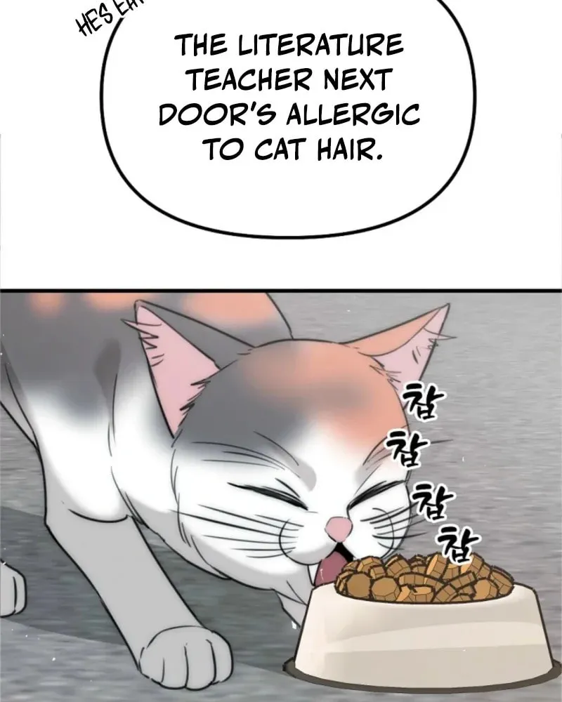 The Teacher in the Trap Chapter 5 page 12 - 