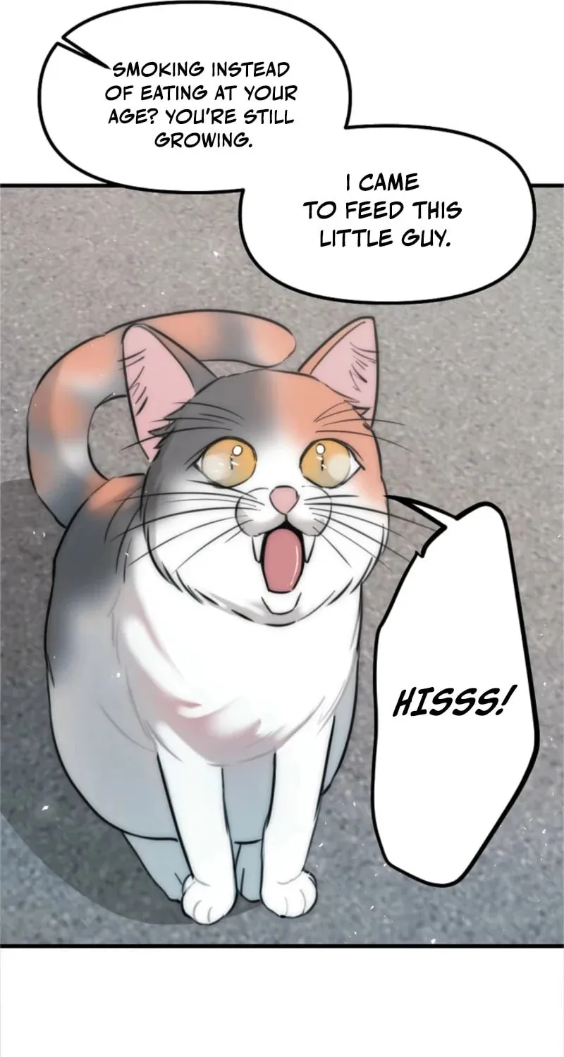 The Teacher in the Trap Chapter 5 page 4 - 