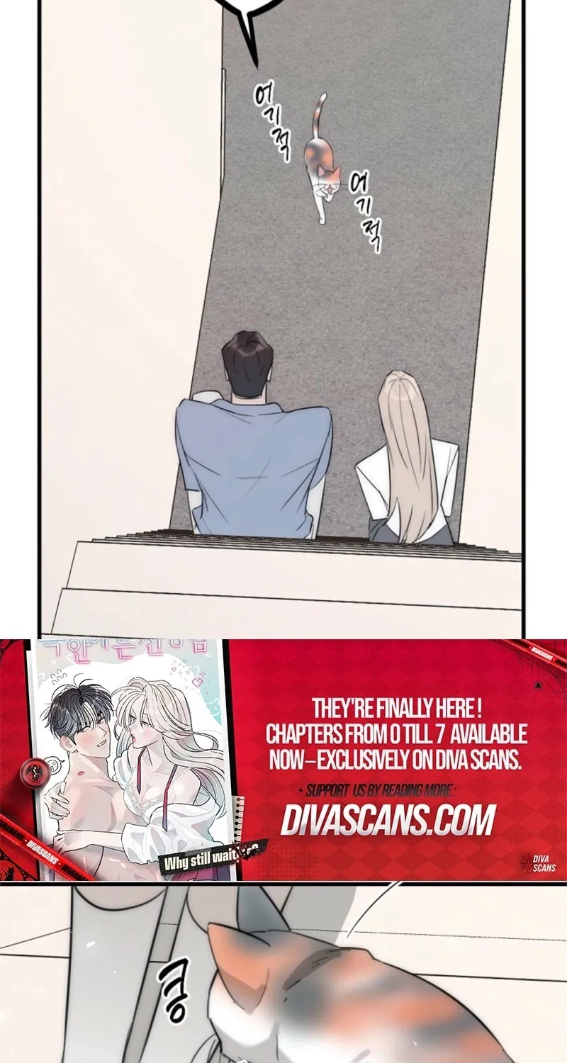 The Teacher in the Trap Chapter 8 page 43 - 